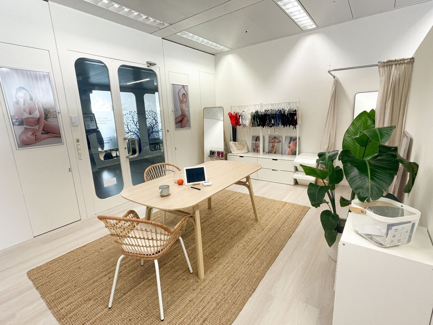 54m² commerciale