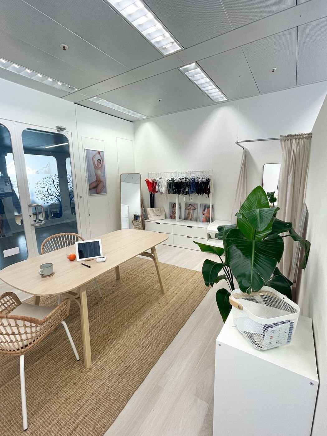 54m² commerciale