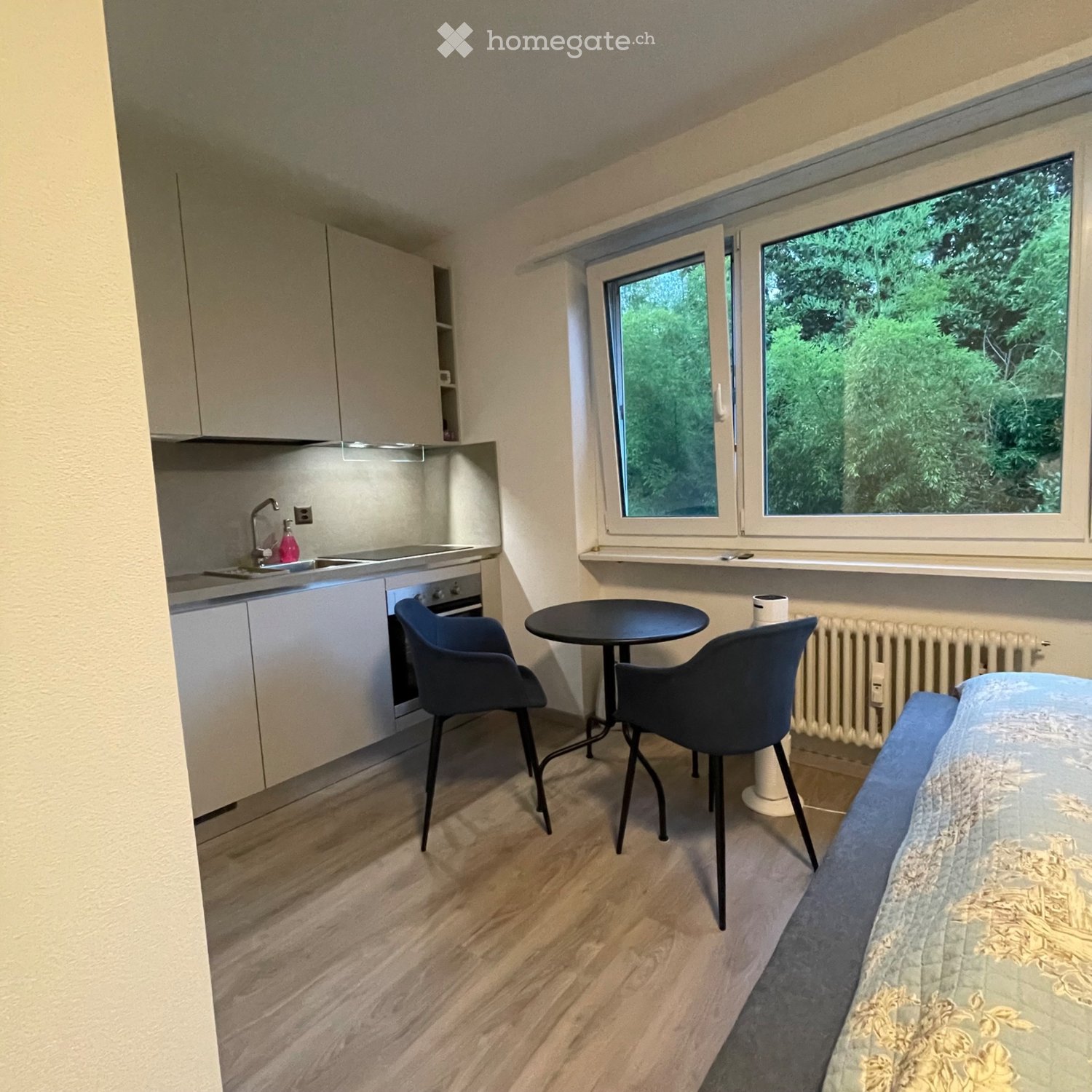 1 room apartment