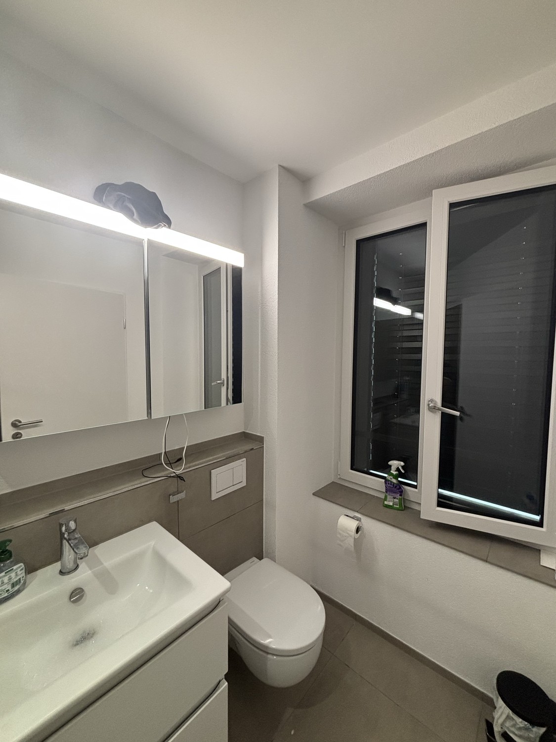 1 ½ Zimmer Wohnung