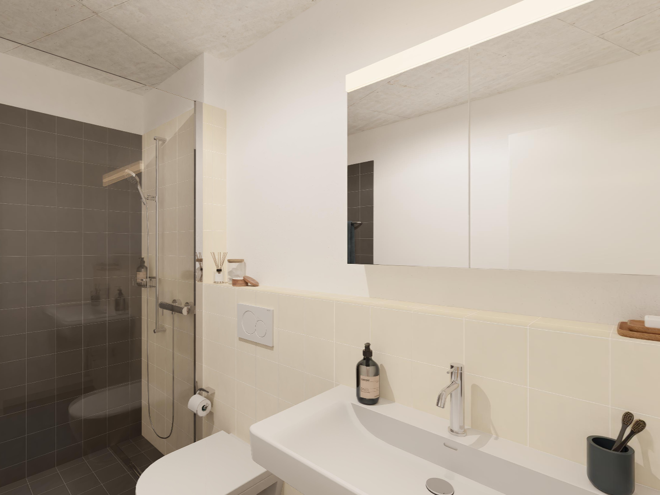 2 ½ pièces appartement