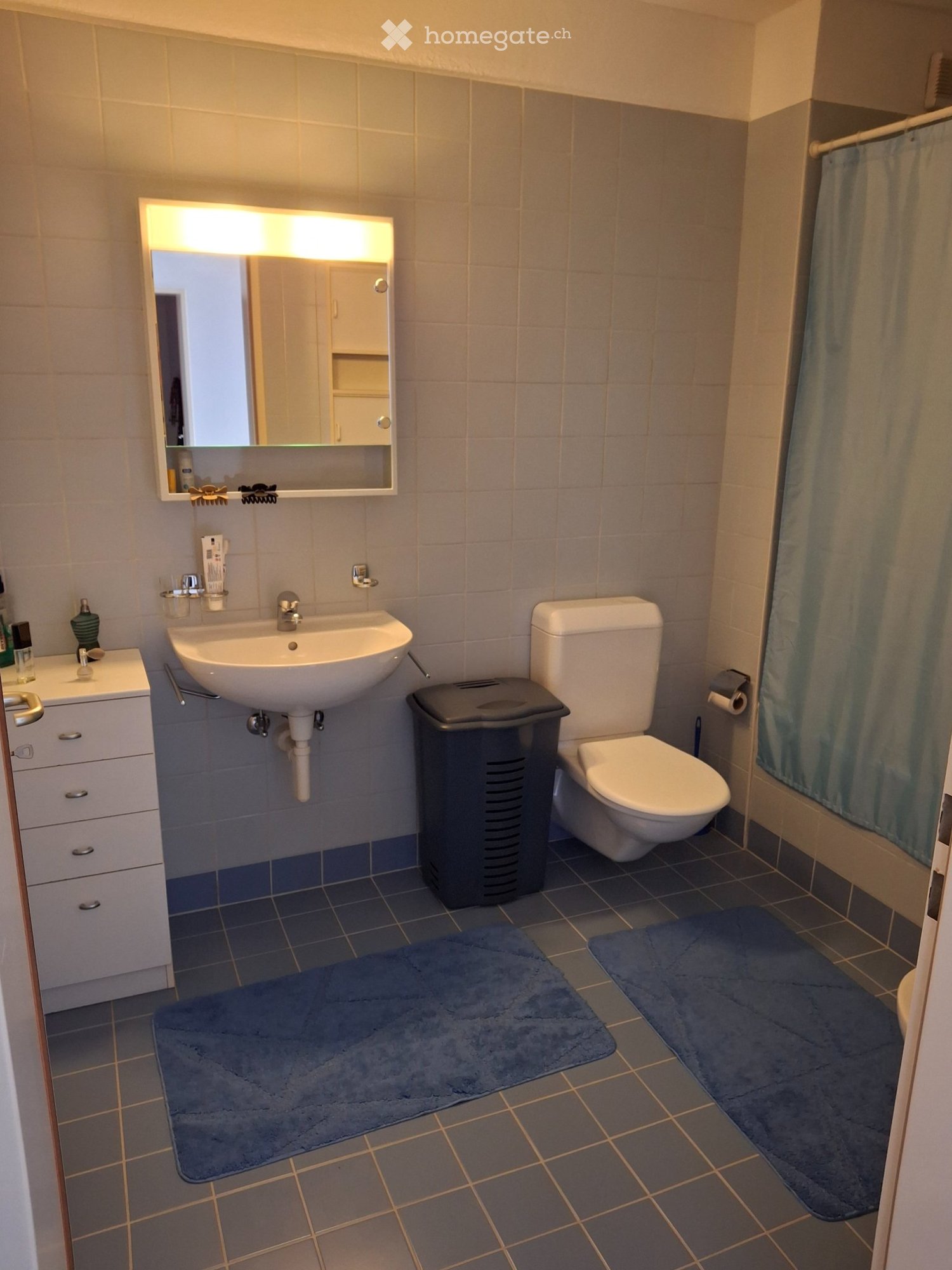 Appartement de 3 ½ pièces