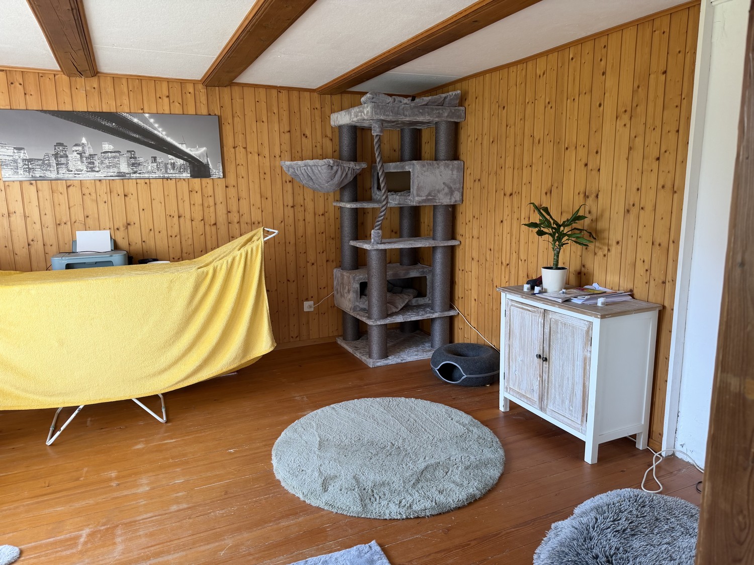 3 rooms apartment