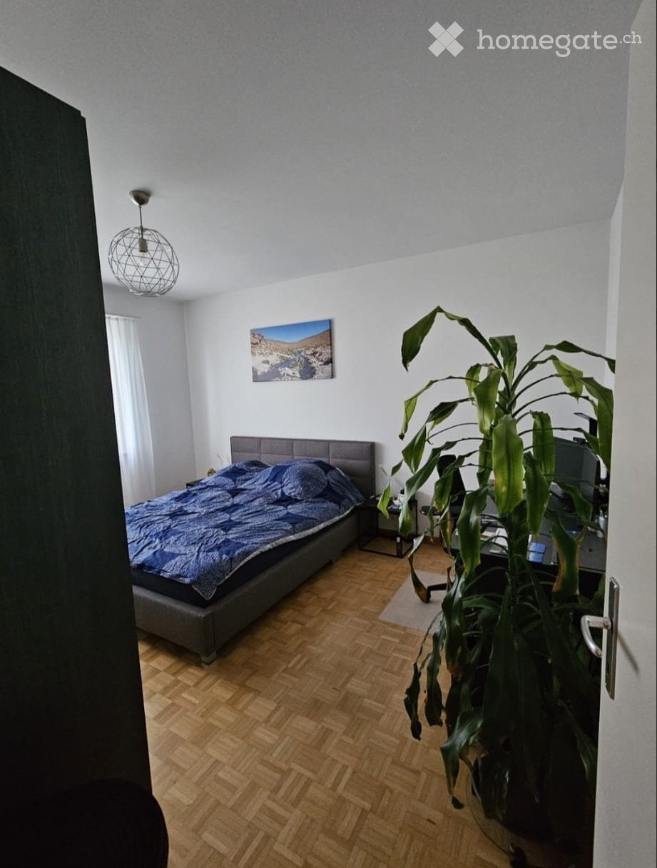 2 rooms apartment, Foto 5 von 5