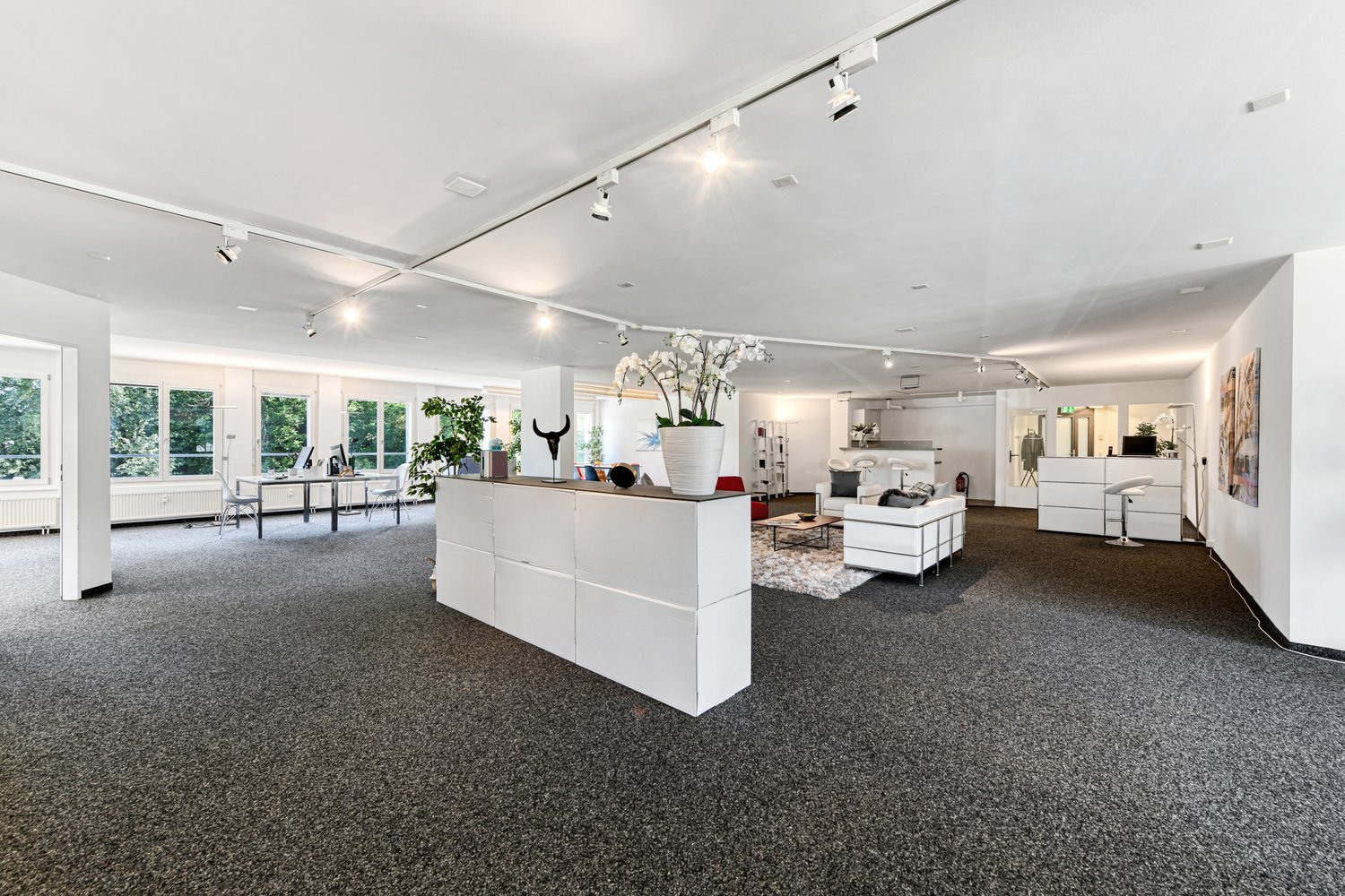 247m² office, photo 8 of 10