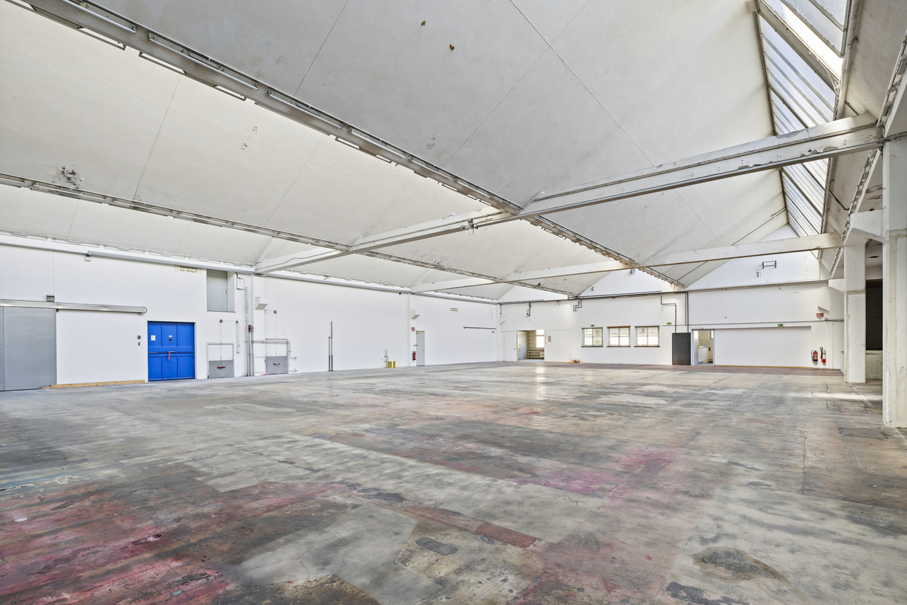 3000m² commercial, photo 8 of 10