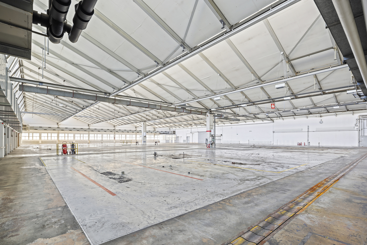 3000m² commercial, photo 5 of 10
