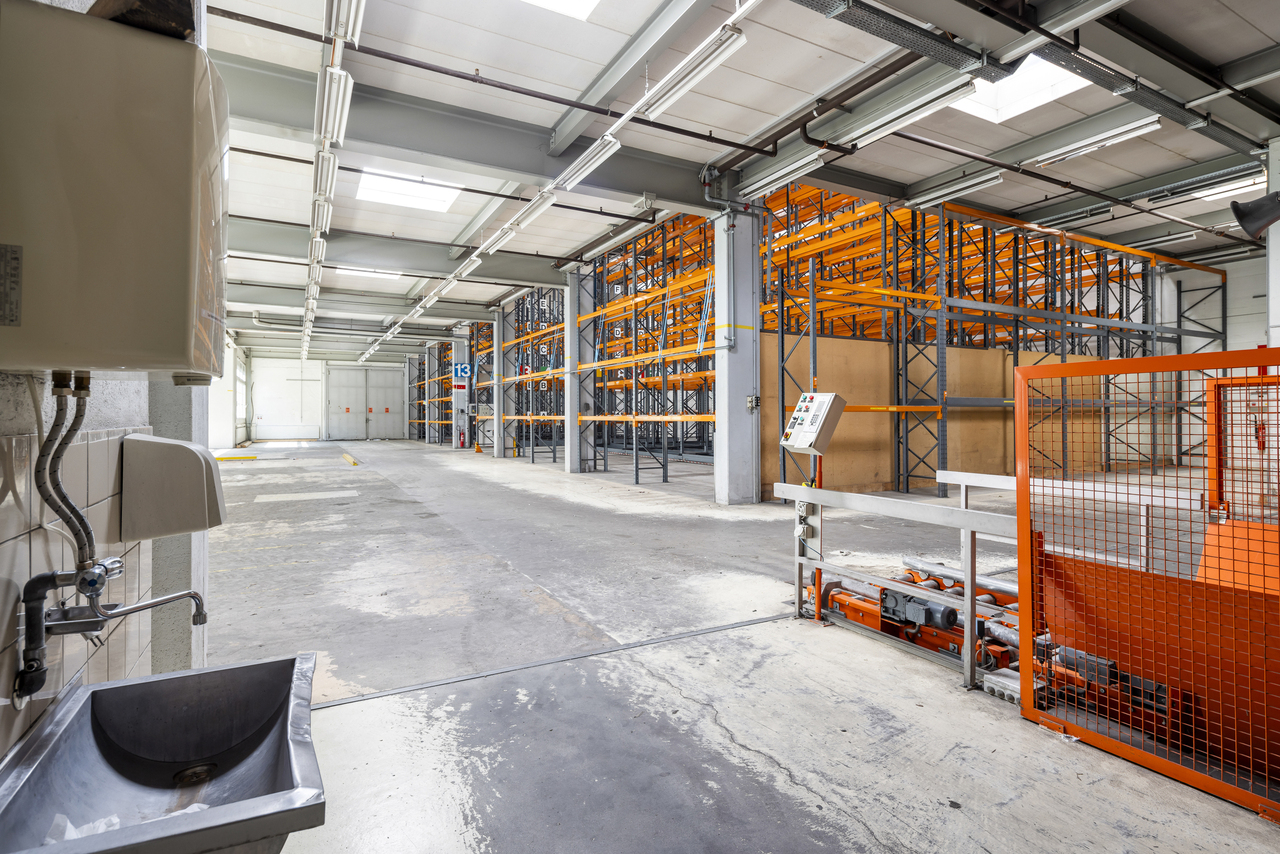 3000m² commercial, photo 6 of 10