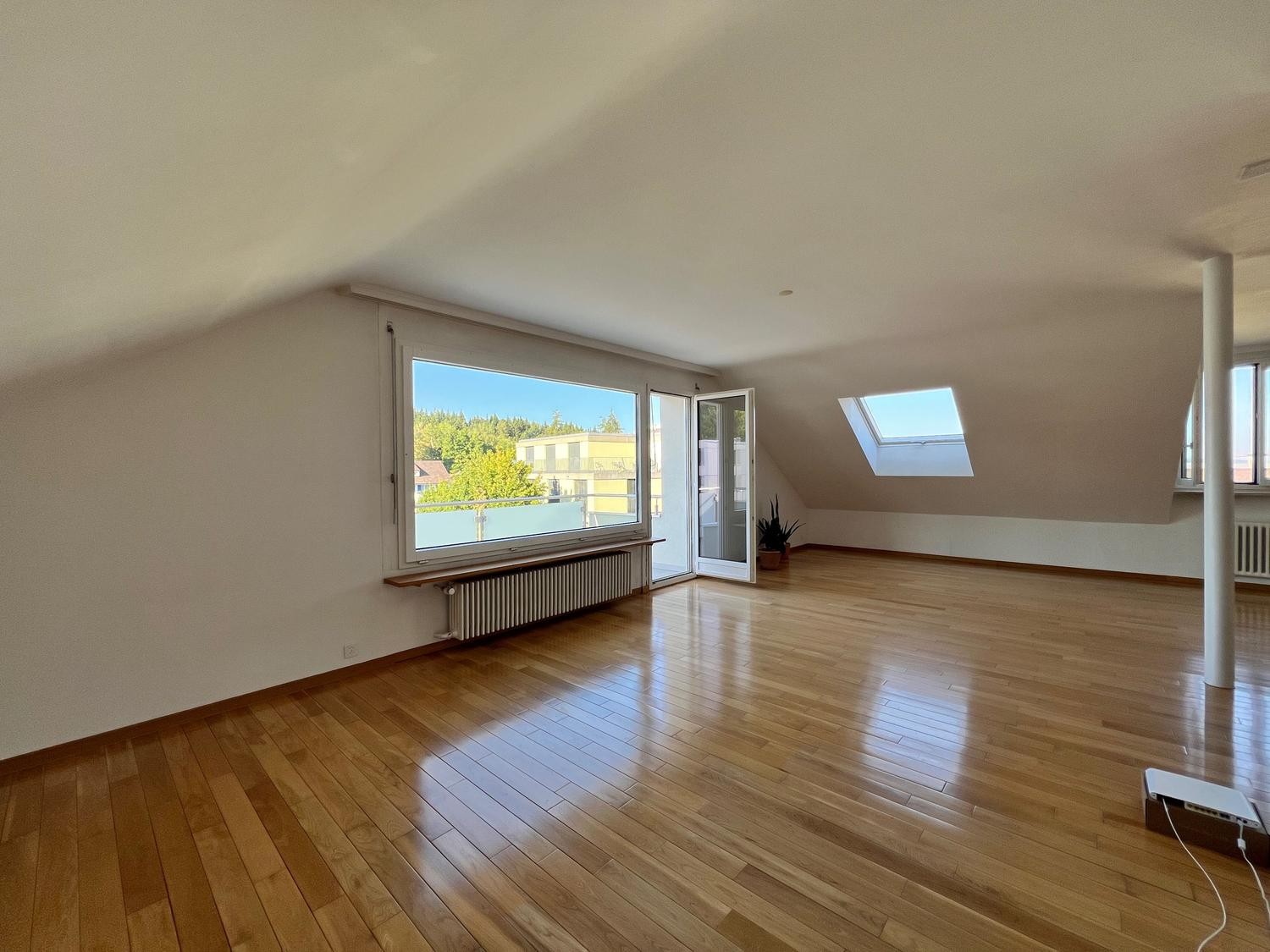 4 ½ rooms apartment