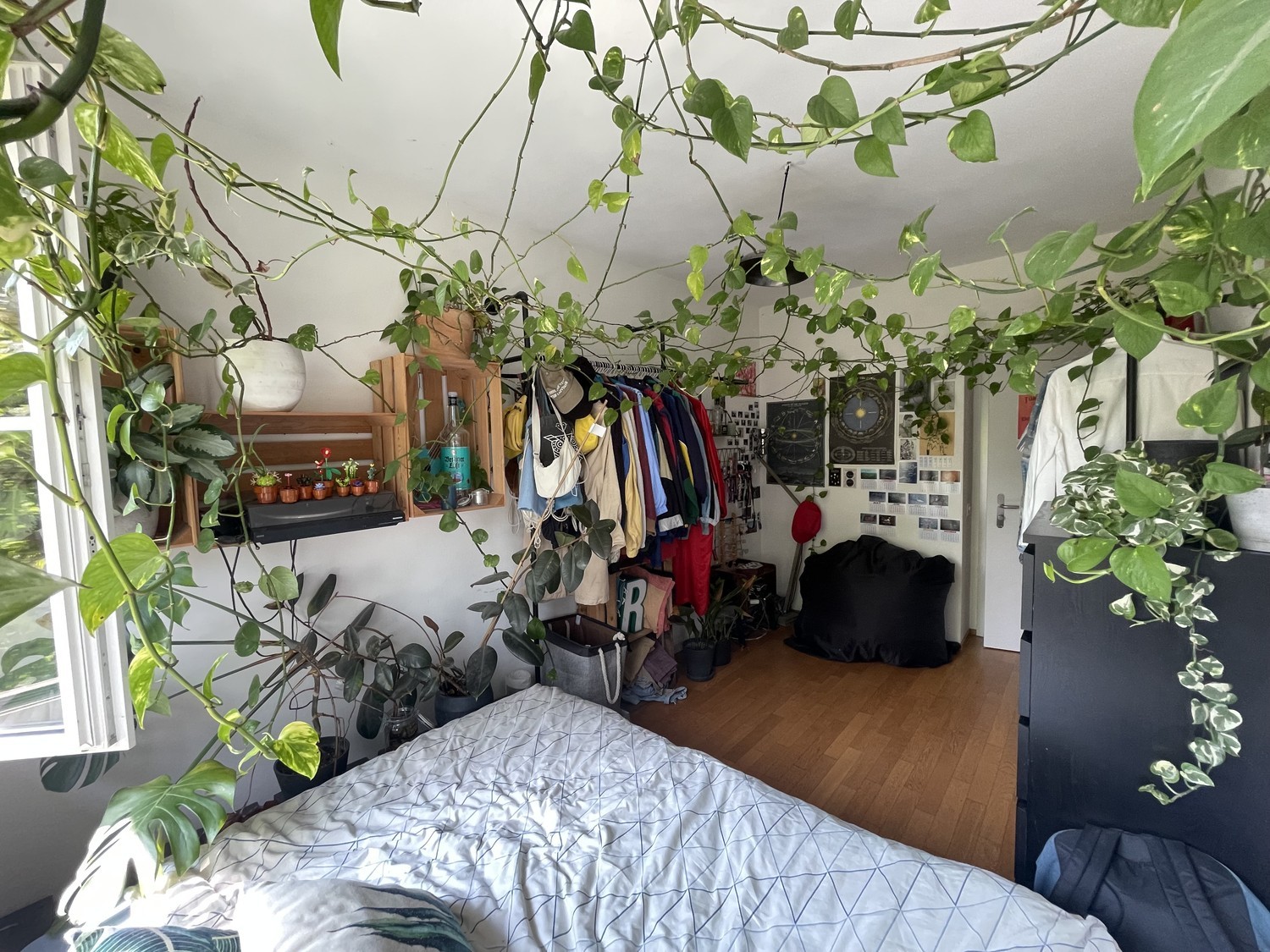 Room in a shared flat, photo 1 of 5