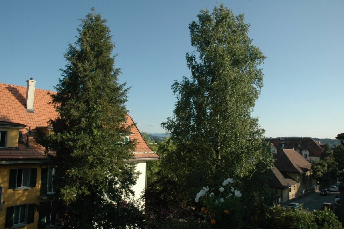 2 ½ pièces appartement au dernier étage