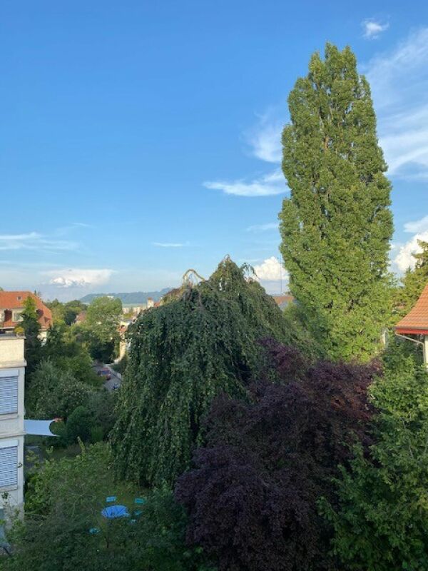 2 ½ pièces appartement au dernier étage