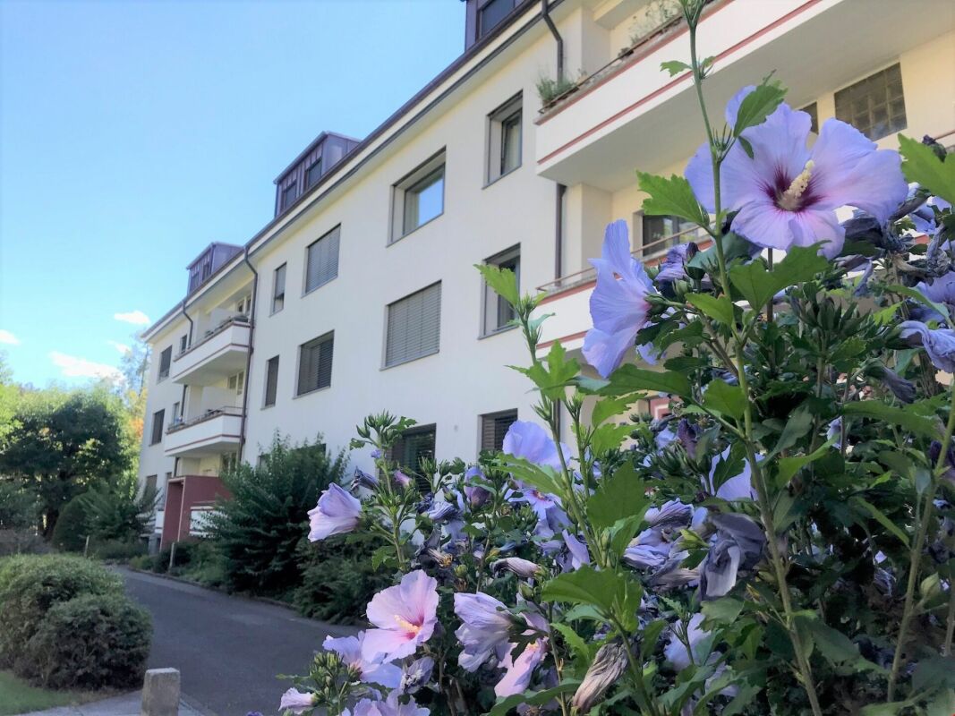 4 rooms apartment