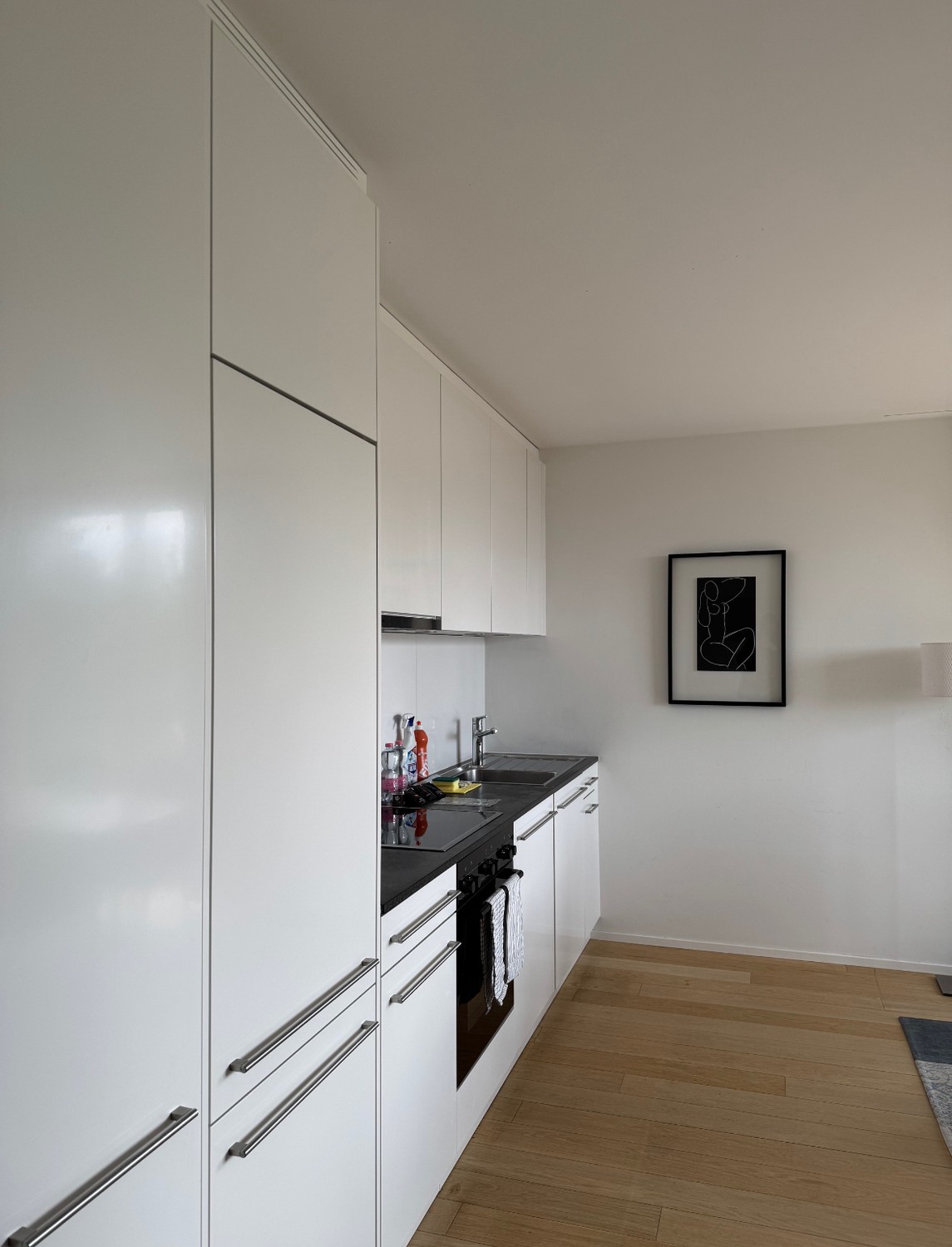 2 ½ rooms apartment