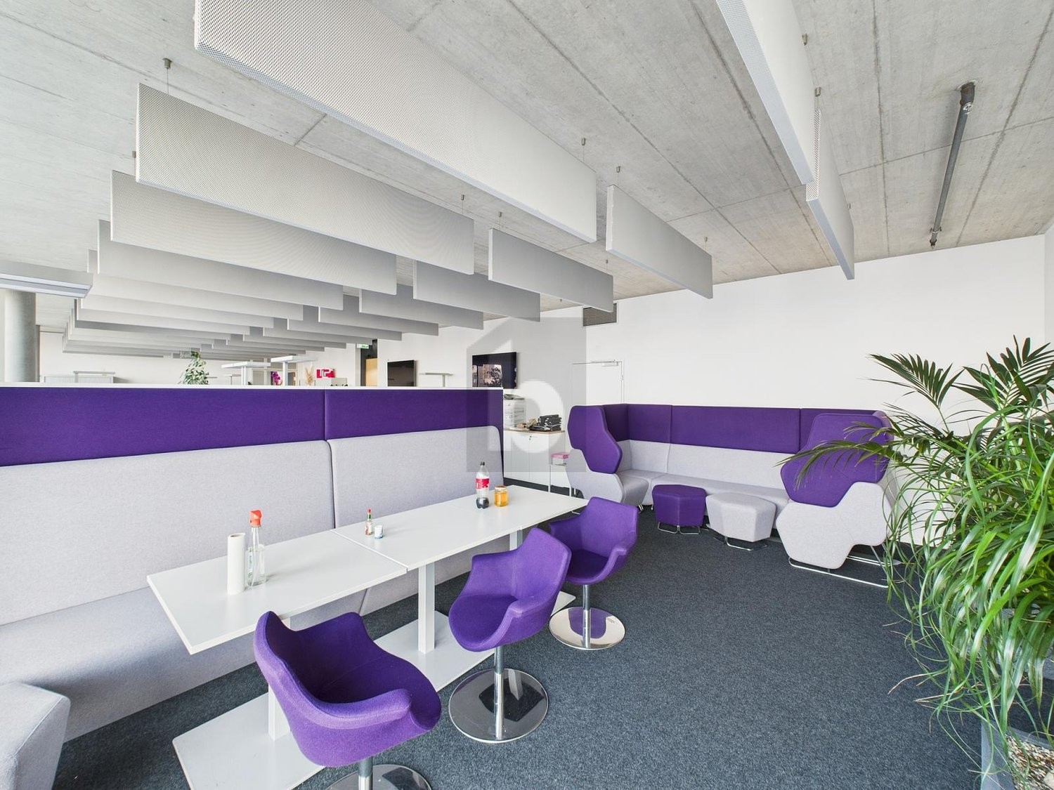 146m² office, photo 4 of 4