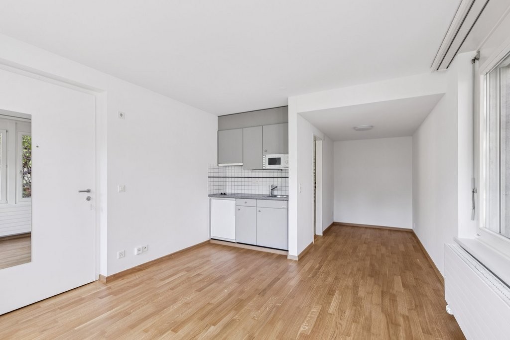 1 room apartment