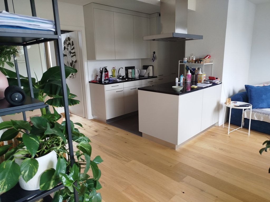 Appartamento di 2 ½ locali