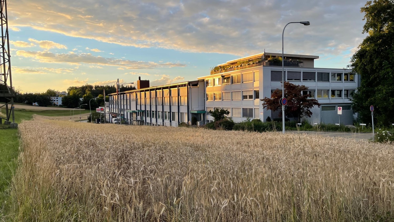 440m² commercial, photo 5 of 6