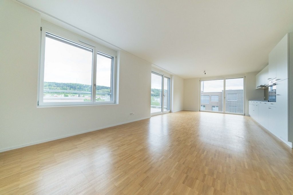5 ½ room apartment