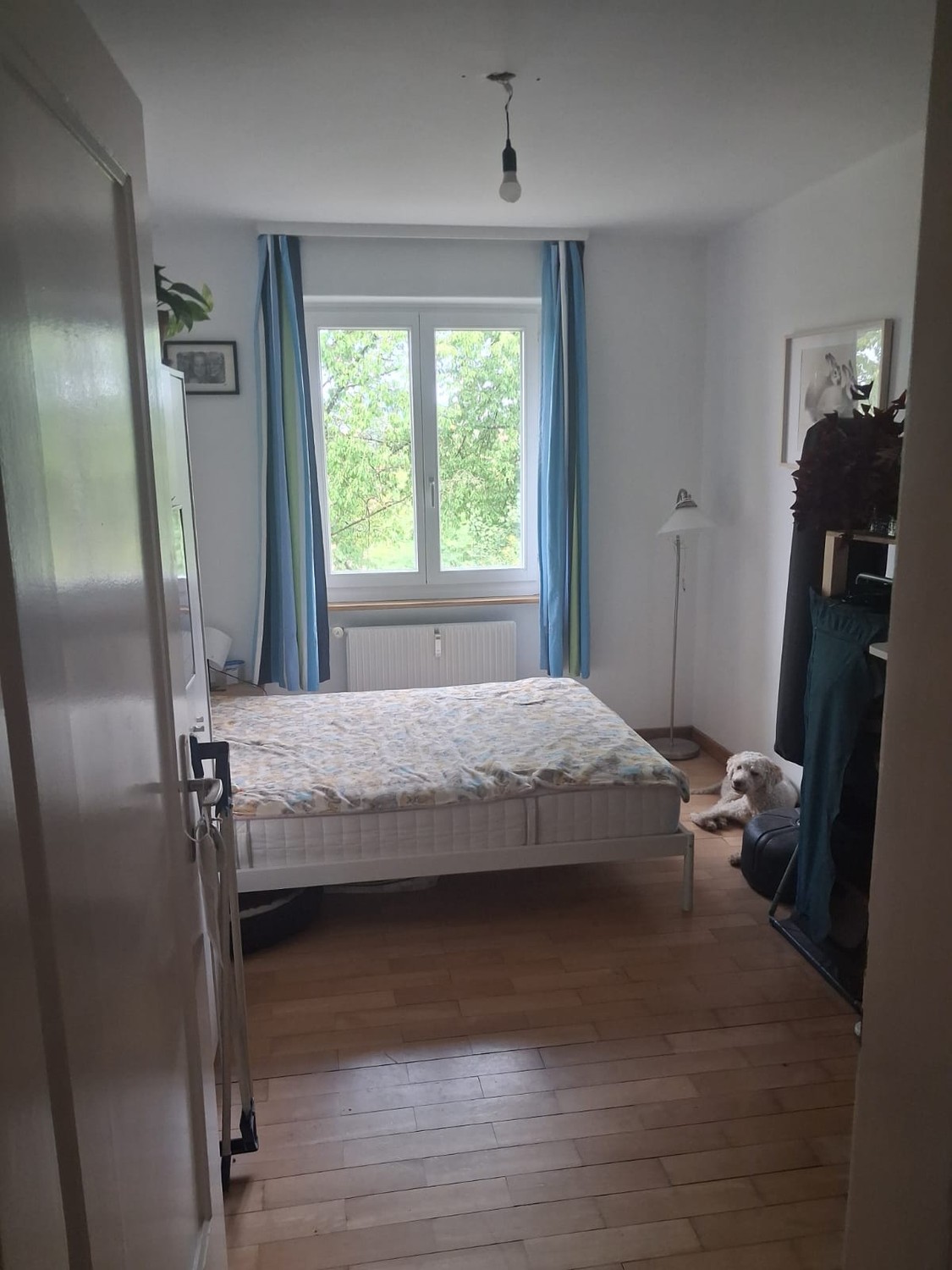3 ½ rooms apartment, photo 6 of 7