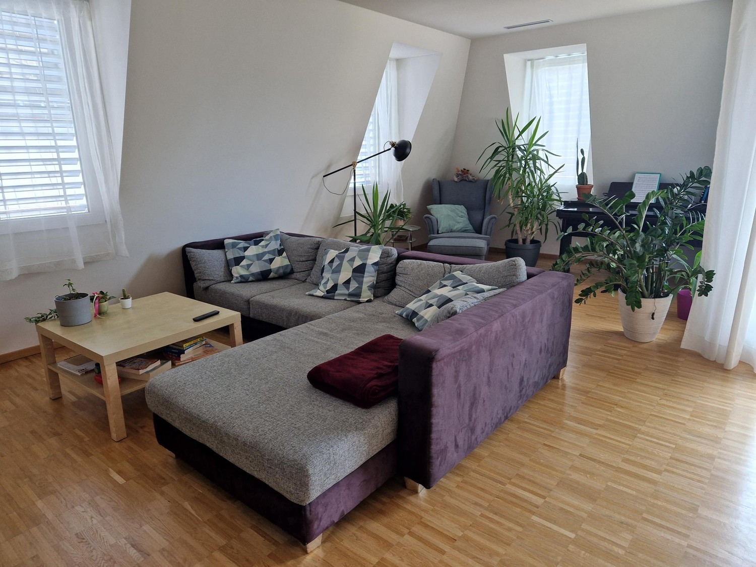 Room in a shared flat