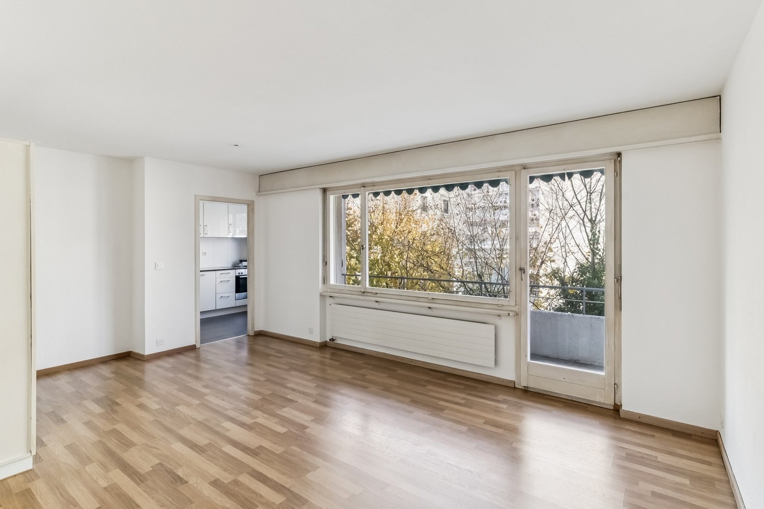 3 ½ rooms apartment