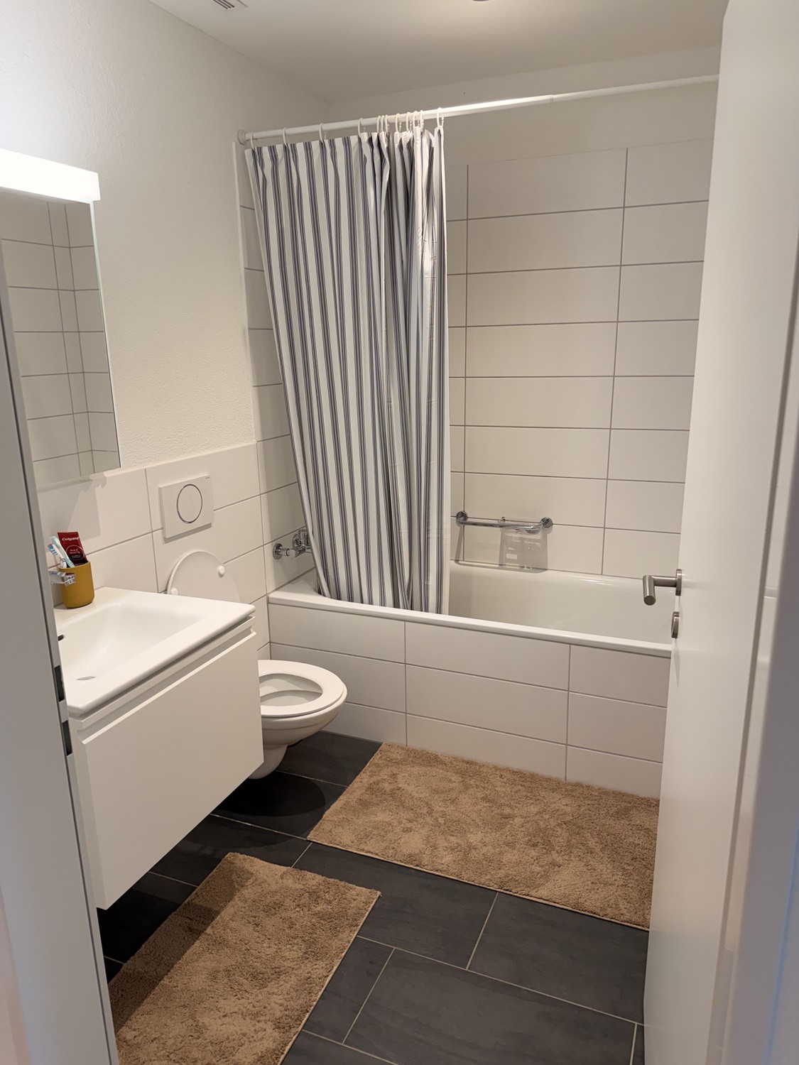 2 ½ rooms apartment