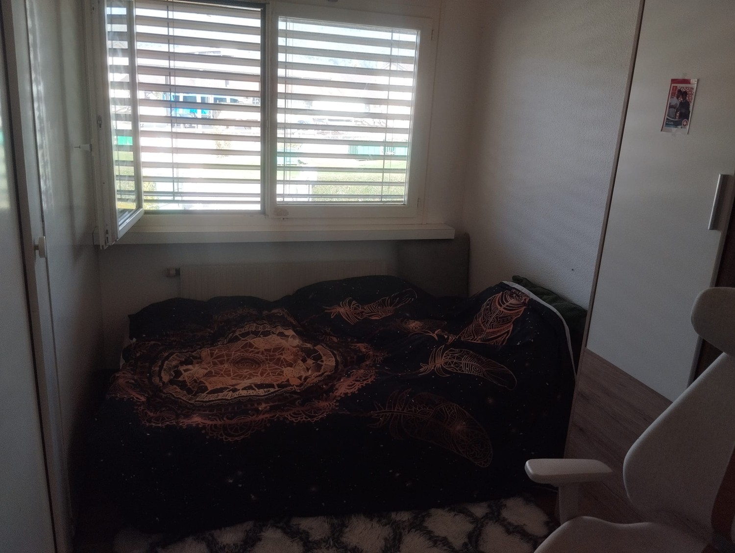 Room in a shared flat