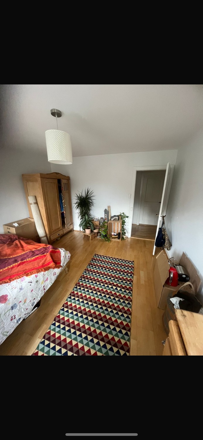 Room in a shared flat
