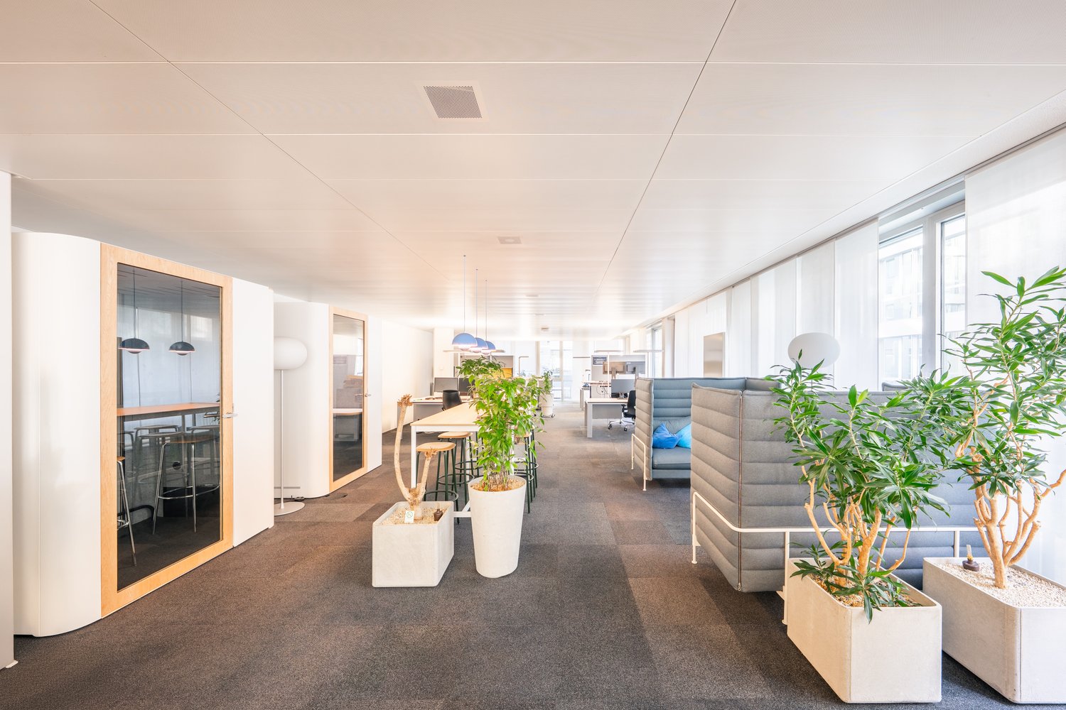 2800m² office, photo 4 of 8