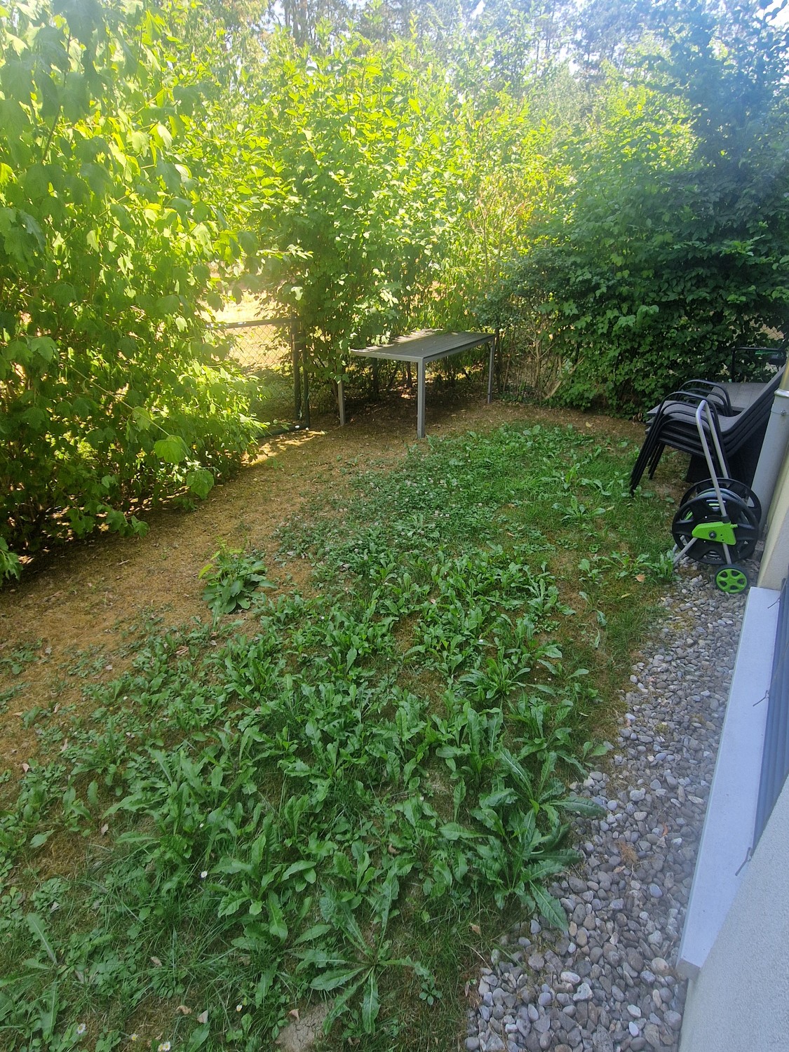 appartamento di 1 locale, foto 3 di 3