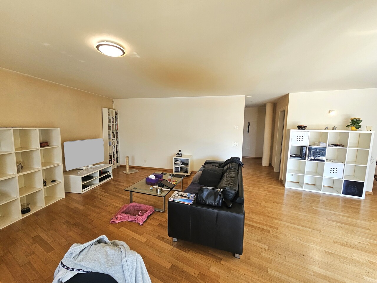 4 ½ rooms apartment, photo 5 sur 10