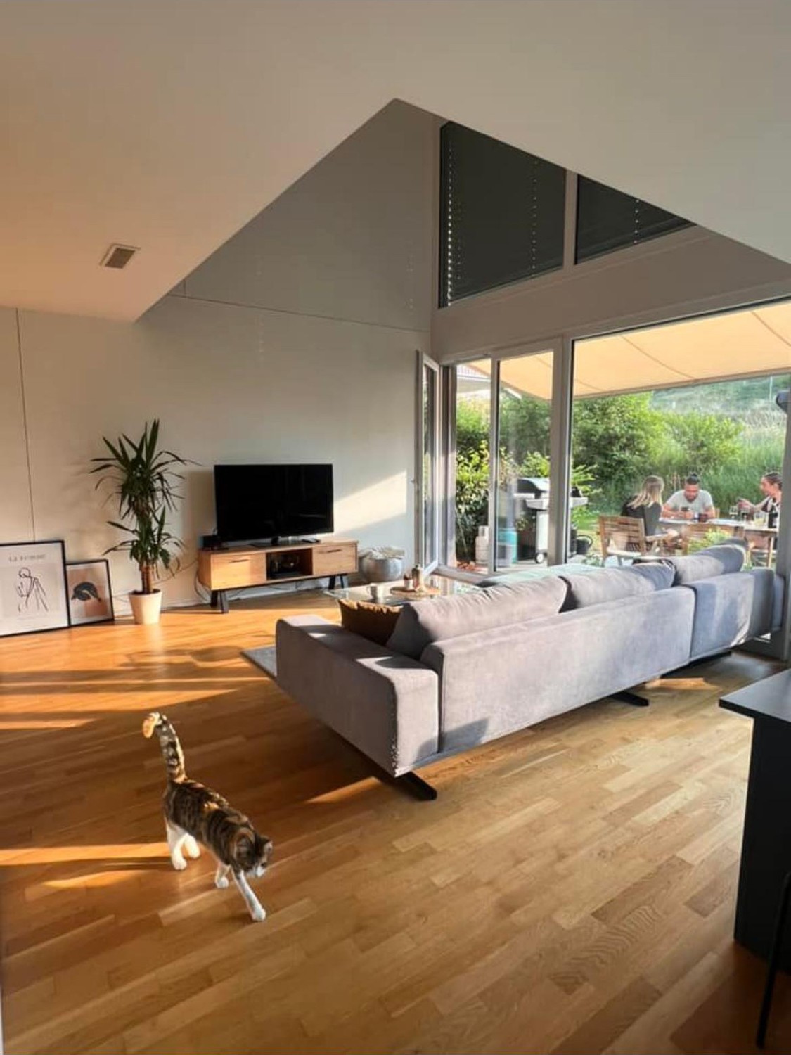 Room in a shared flat