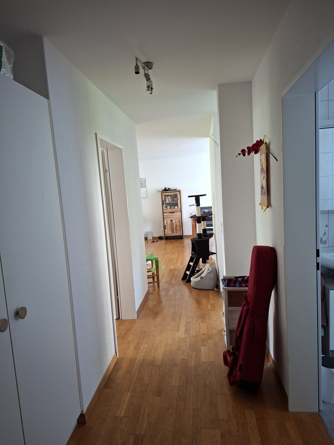 Room in a shared flat