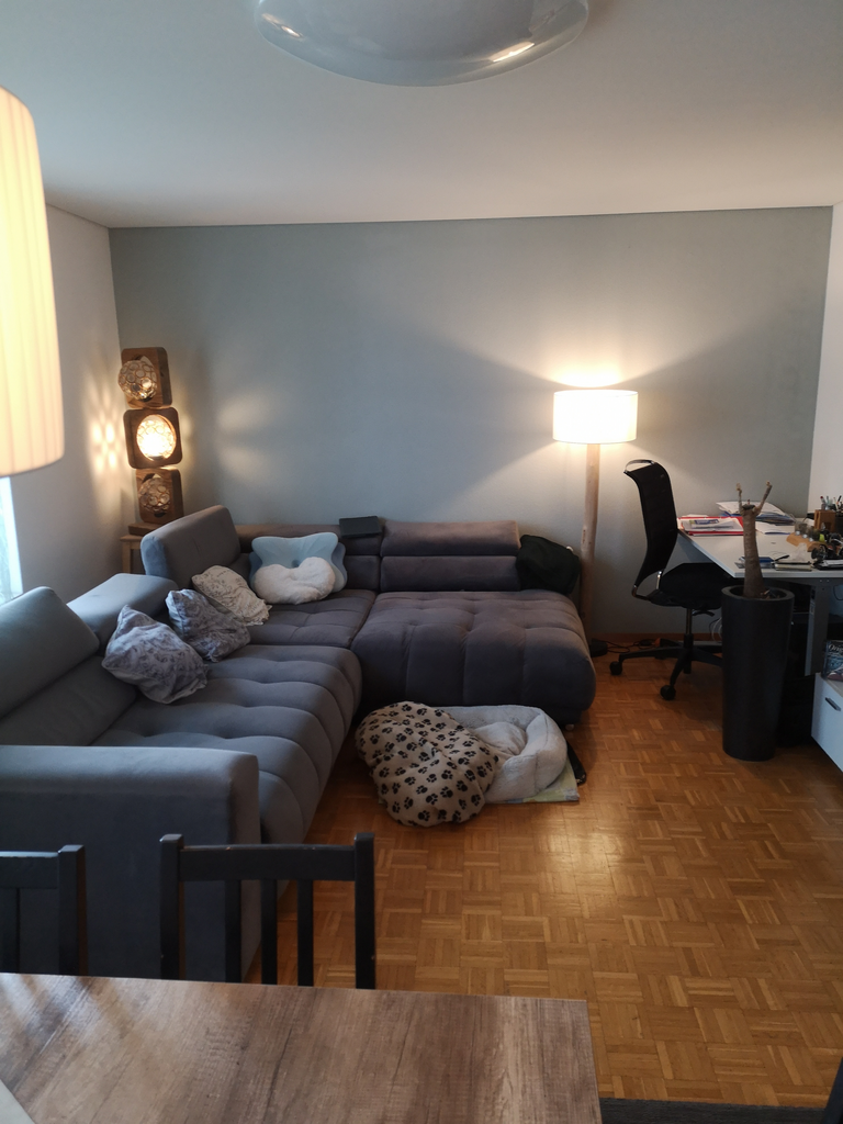 5 ½ rooms apartment