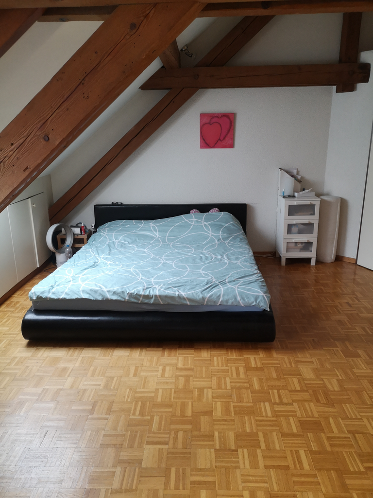 5 ½ rooms apartment
