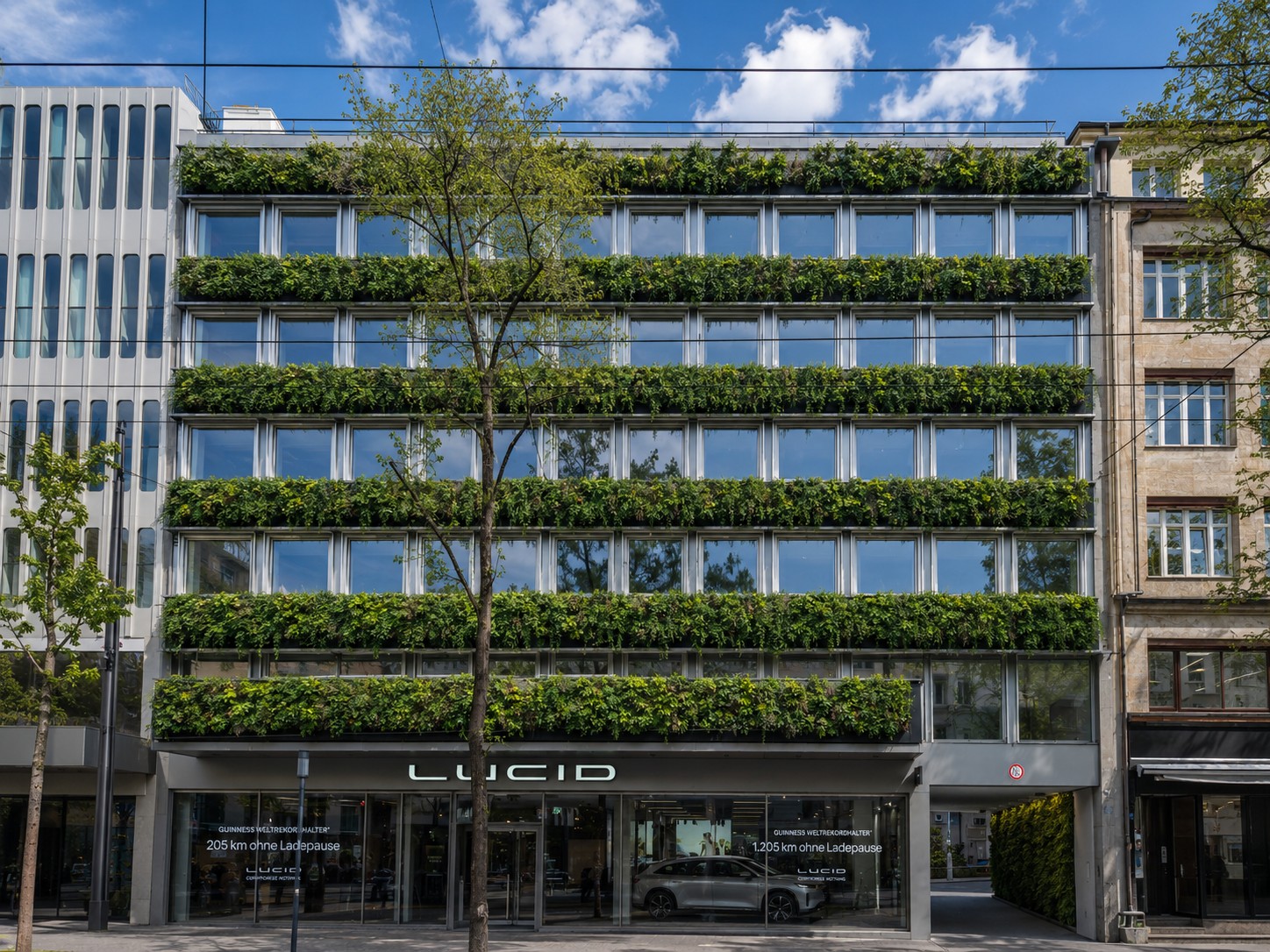 228m² ufficio, foto 6 di 10