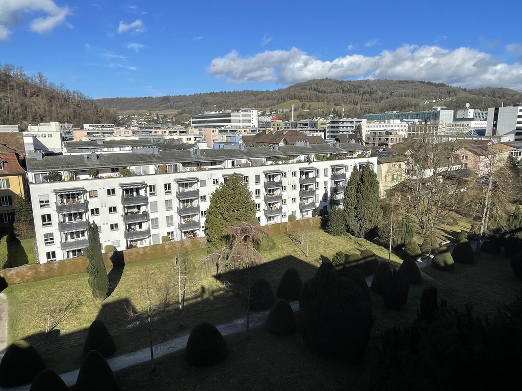 3 ½ pièces appartement (8)