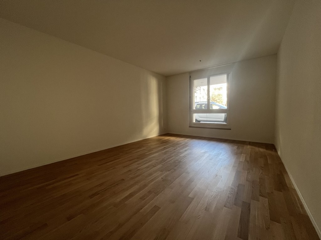 3 ½ pièces appartement (4)