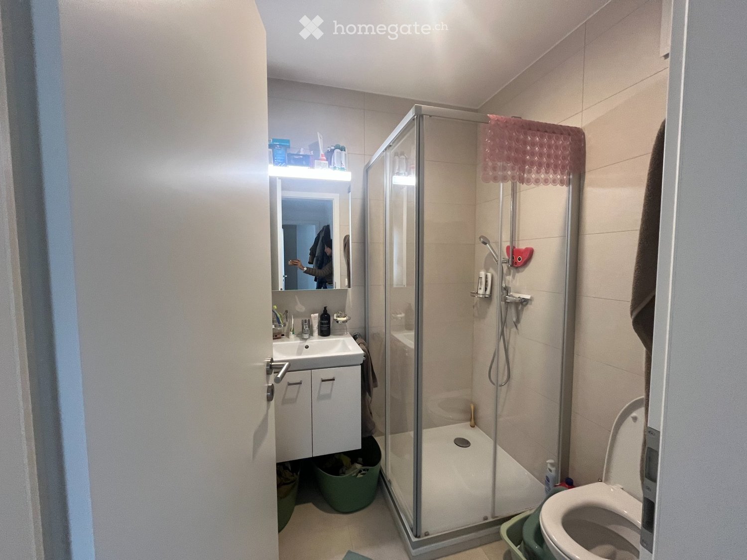 3 ½ Zimmer Wohnung
