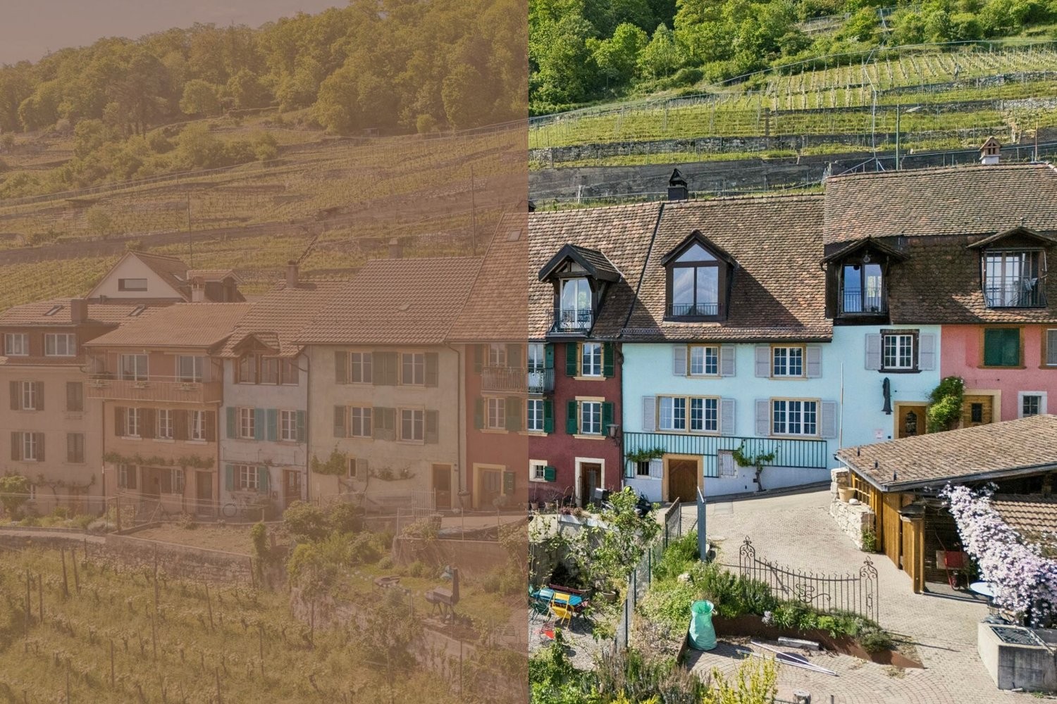 5 ½ pièces maison en rangée