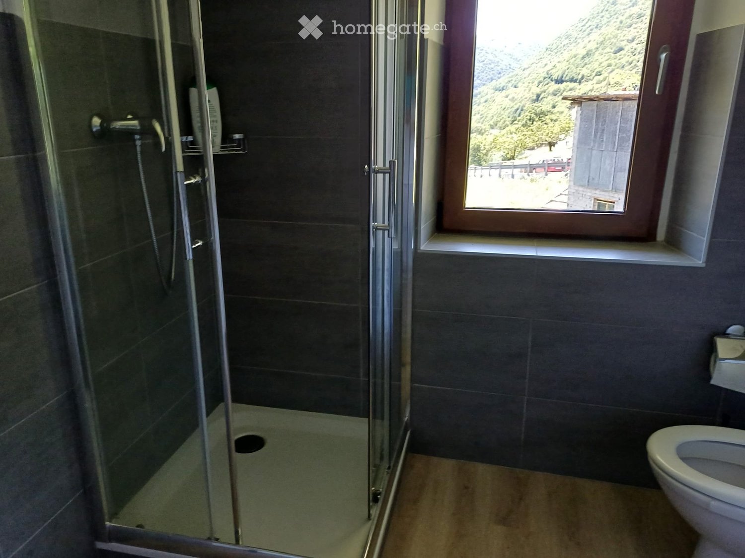 2 ½ Zimmer Wohnung