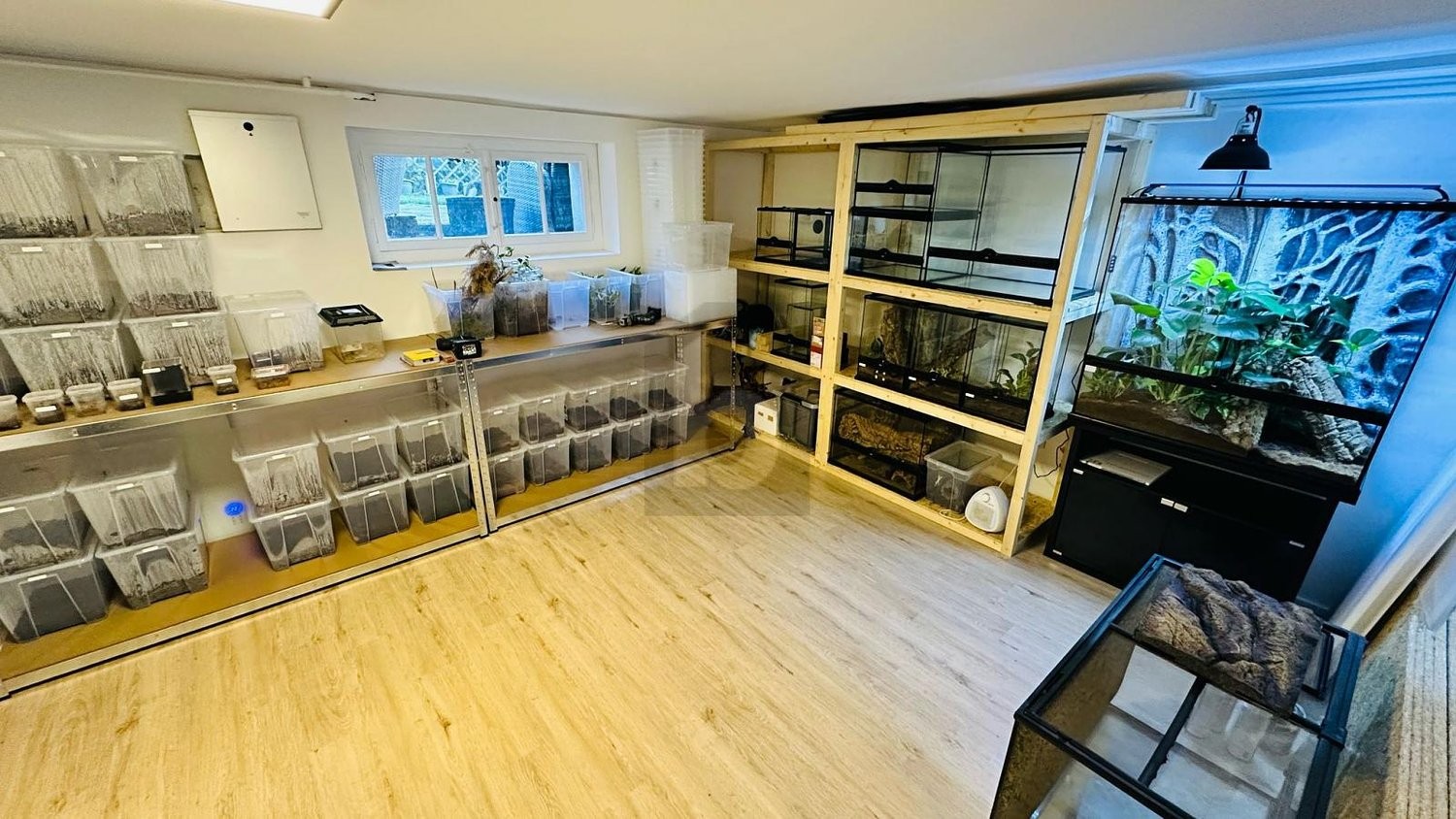 7 rooms single house, photo 1 of 4