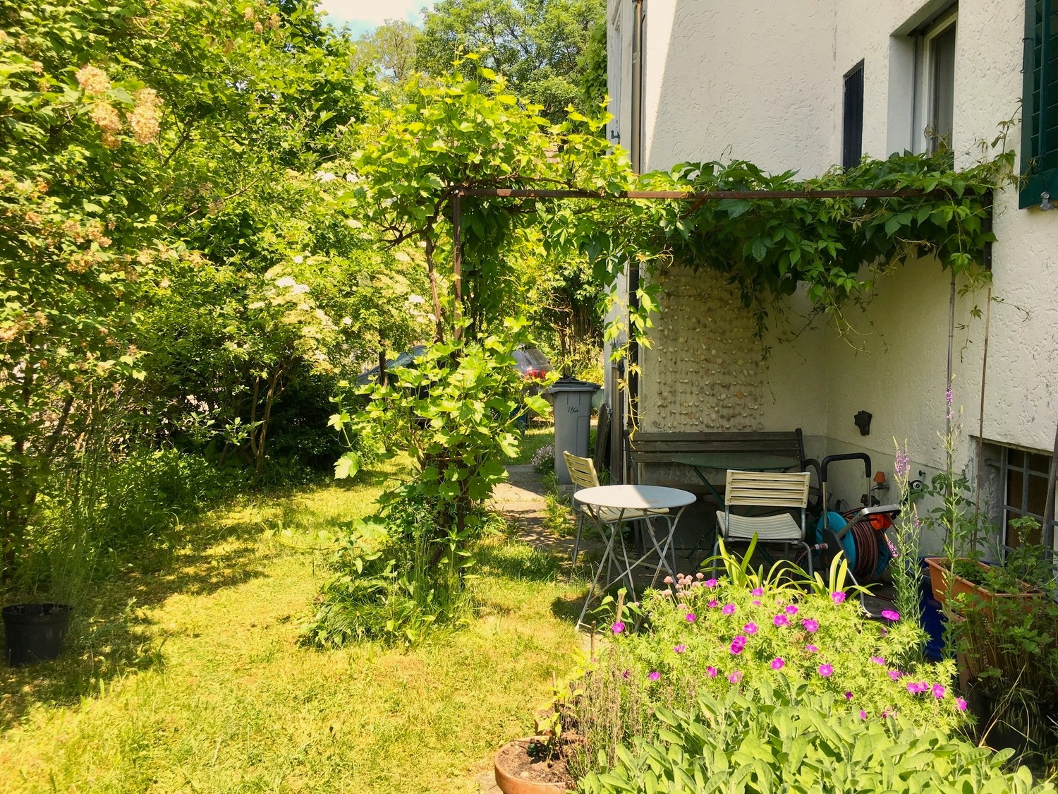 Appartement de 2 ½ pièces, photo 7 sur 8