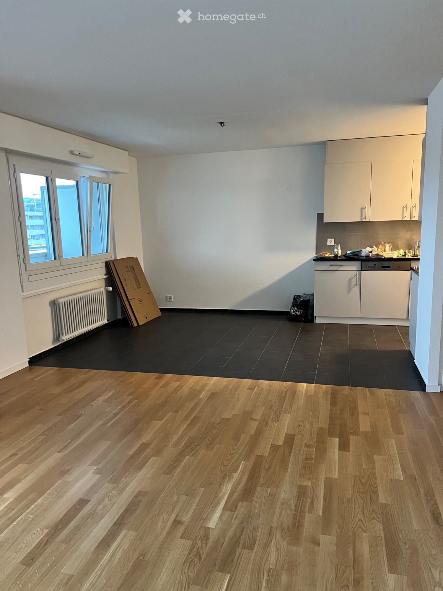 2 ½ rooms apartment