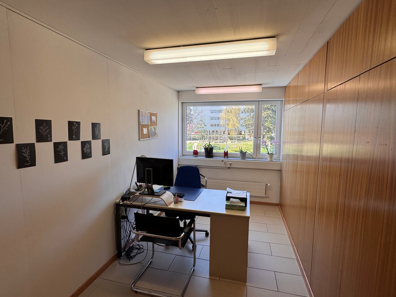 340m² office, photo 8 of 8