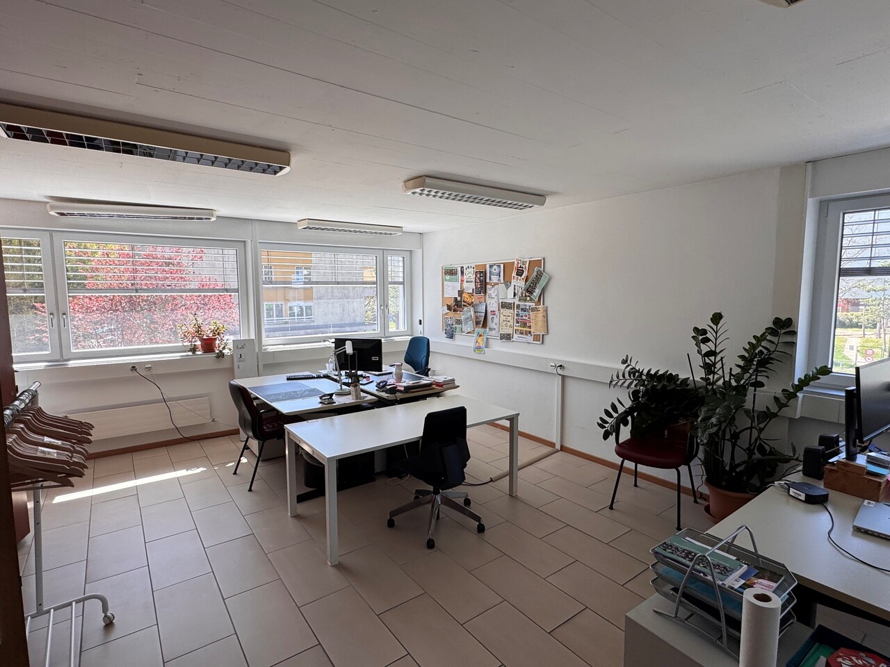 340m² office, photo 3 of 8