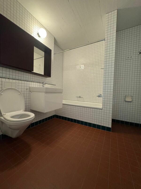 Appartement 3 ½ pièces