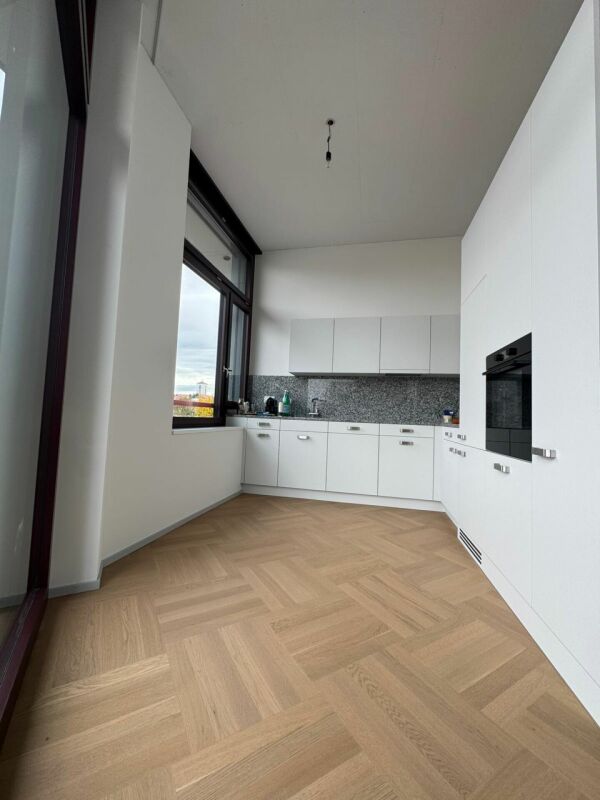 Appartement 3 ½ pièces