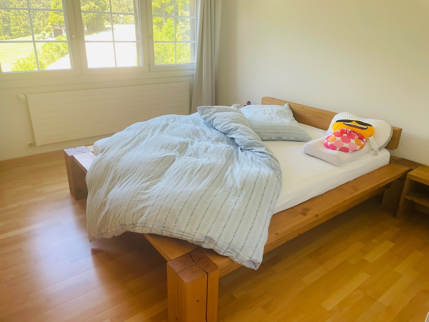 Appartement de 3 ½ pièces